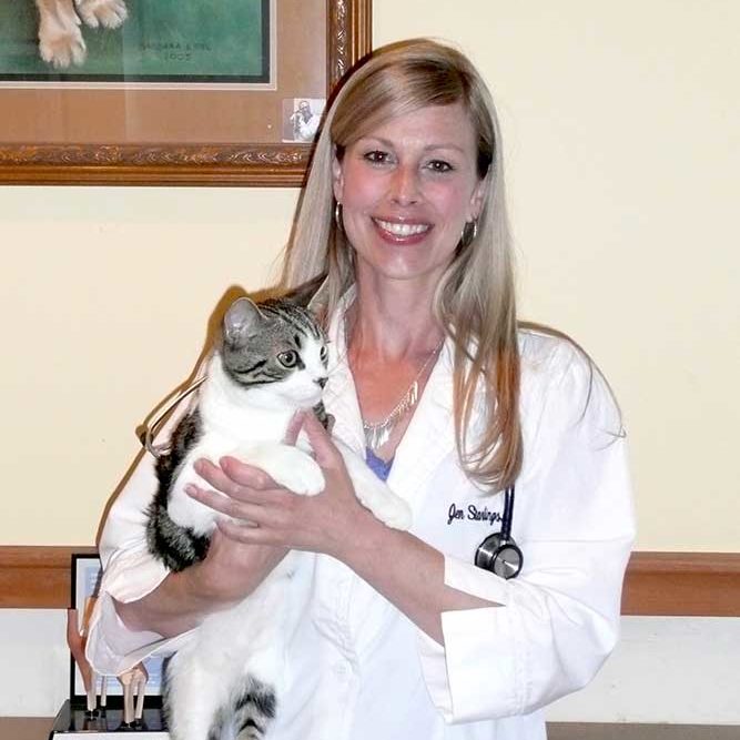 Dr. Jennifer Starlings | Mountainside Veterinary Hospital
