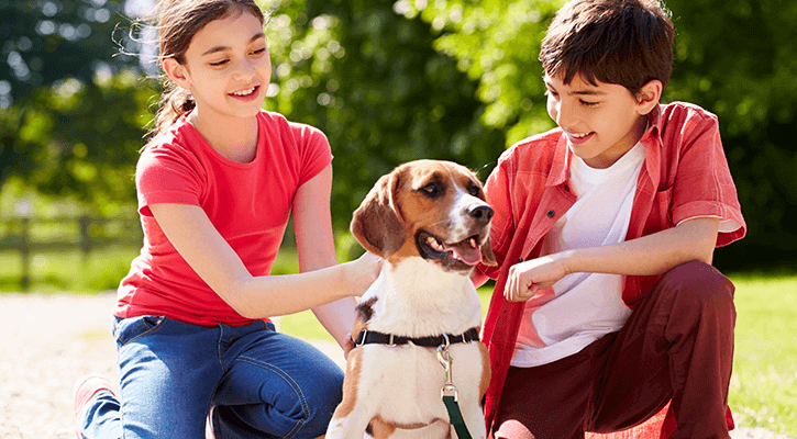 Microchipping kids with dog